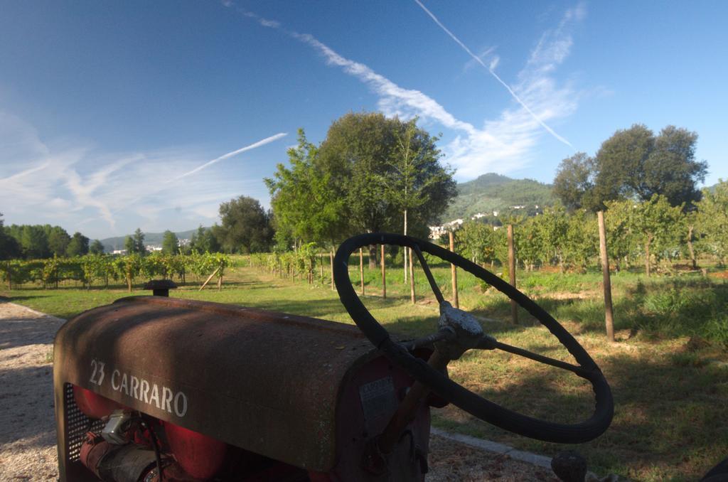 1720 Quinta Da Cancela - Winery & Farmhouse ギマランイス エクステリア 写真
